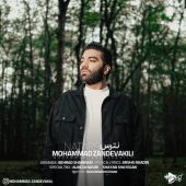 دانلود آهنگ محمد زندوکیلی نترس
